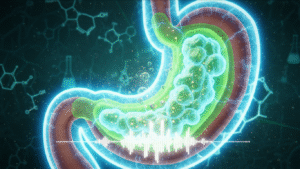 Stomach Acid Facts