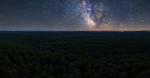 Earth's Trees vs. Stars in the Milky Way: Which is More?