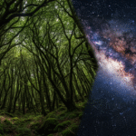Earth’s Trees vs. Stars in the Milky Way: Which is More?